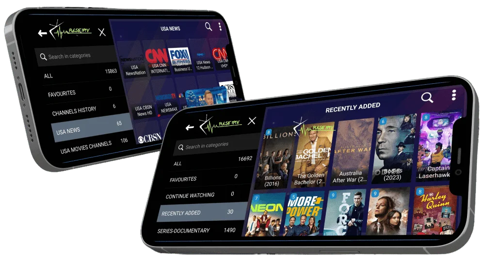 IPTV application interface